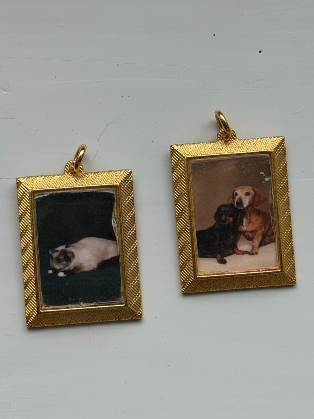 Gold-tone Rectangular Pet Photo Charms - Dog & Cat